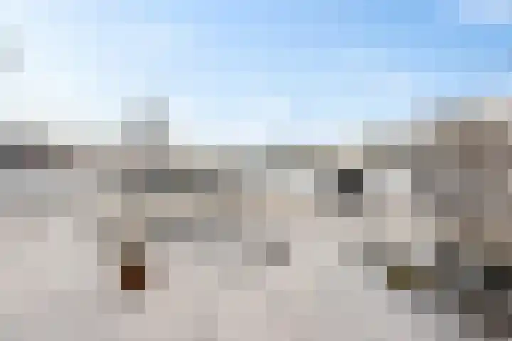 Harpstraat 10 Arkel thumbnail 33