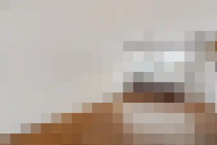 Harpstraat 10 Arkel thumbnail 4