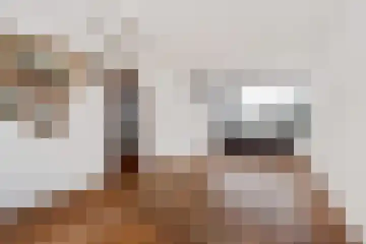Harpstraat 10 Arkel thumbnail 7