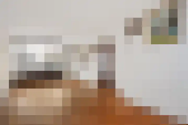 Harpstraat 10 Arkel thumbnail 8