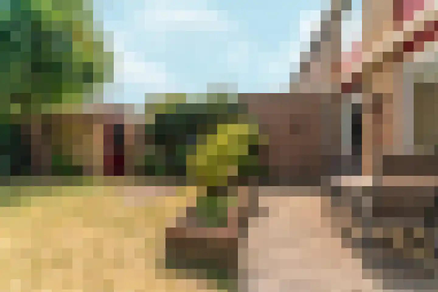 Harpstraat 13 Nijmegen thumbnail 41