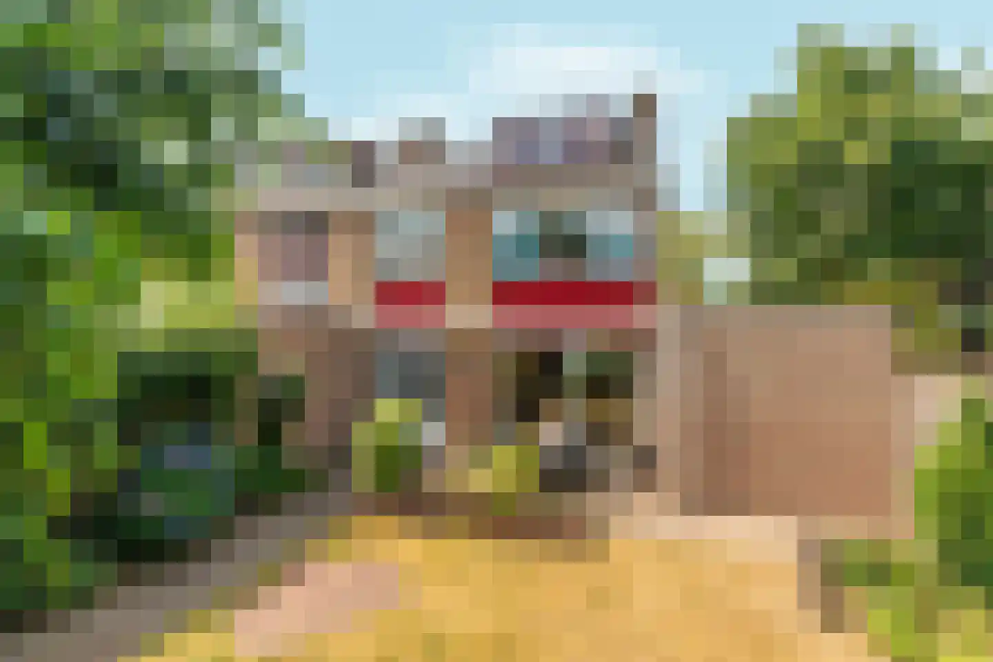 Harpstraat 13 Nijmegen thumbnail 45
