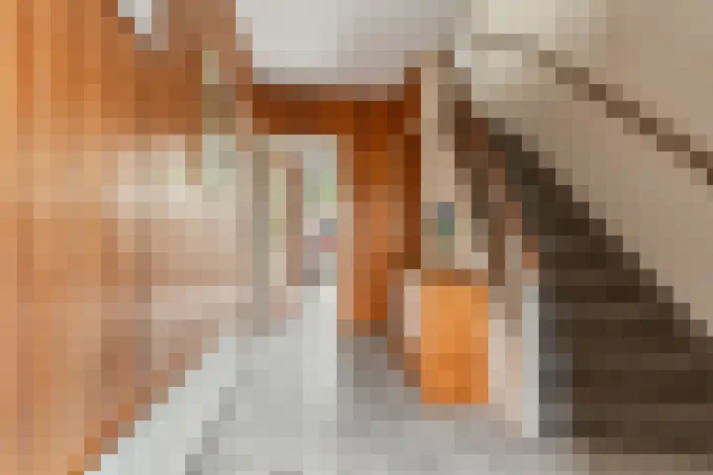 Harpstraat 13 Nijmegen thumbnail 5