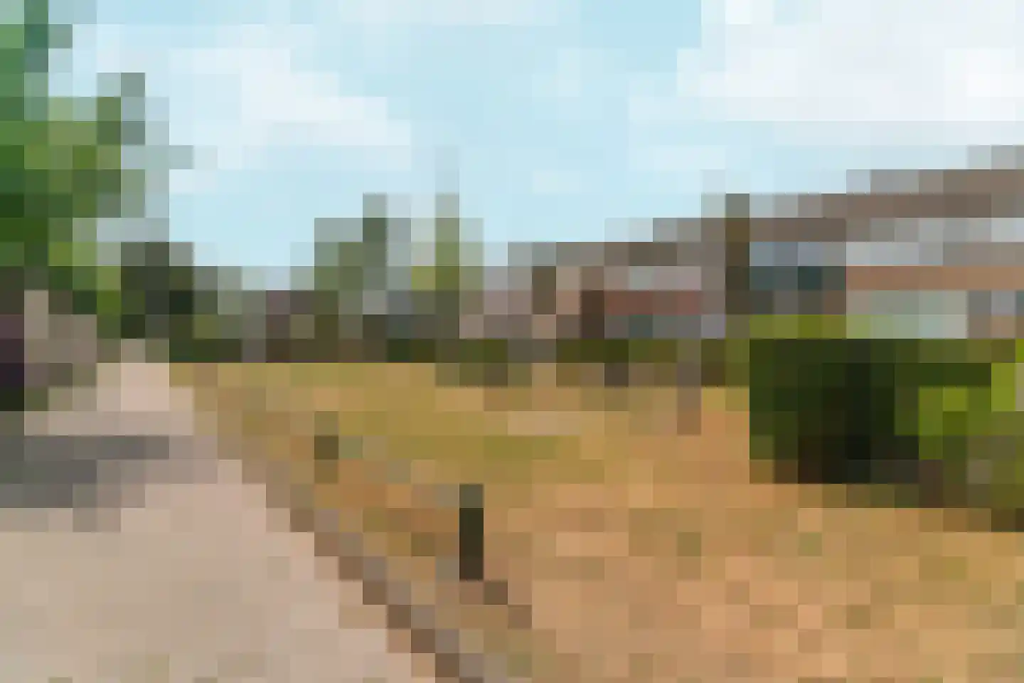 Harpstraat 13 Nijmegen thumbnail 50