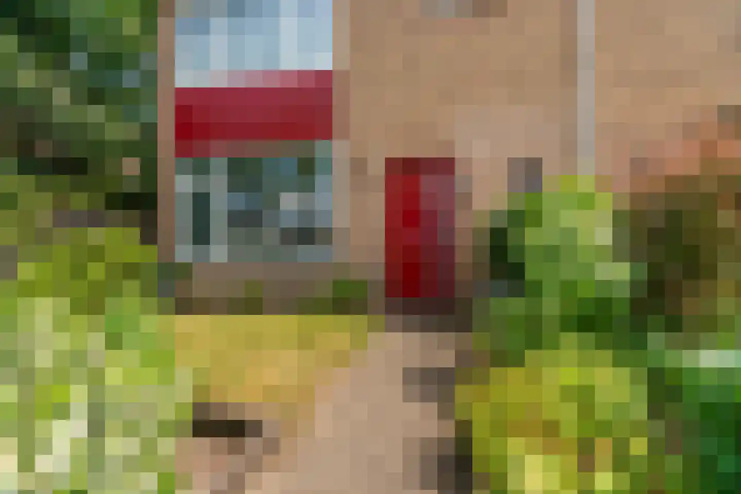 Harpstraat 13 Nijmegen thumbnail 56