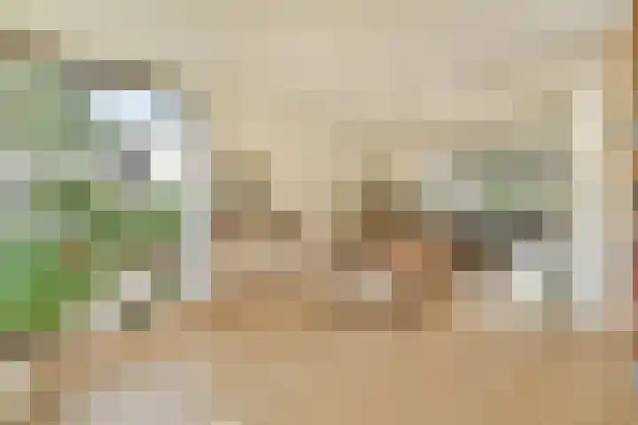 Harpstraat 23 Zaandijk thumbnail 10