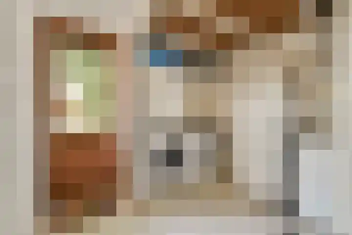 Harpstraat 23 Zaandijk thumbnail 18