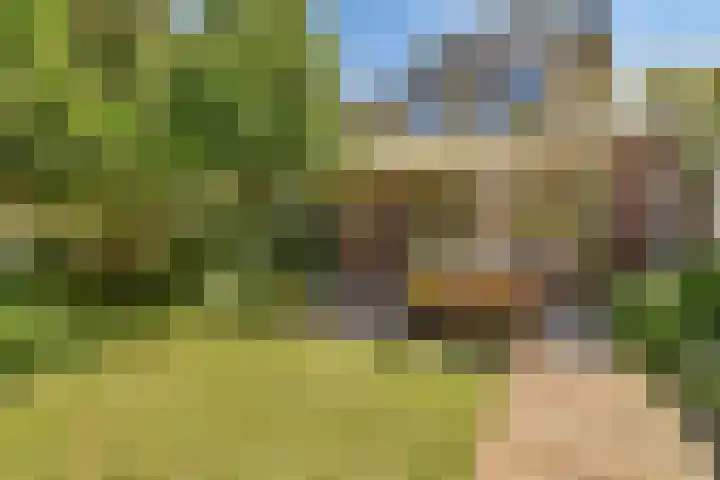 Harpstraat 23 Zaandijk thumbnail 20