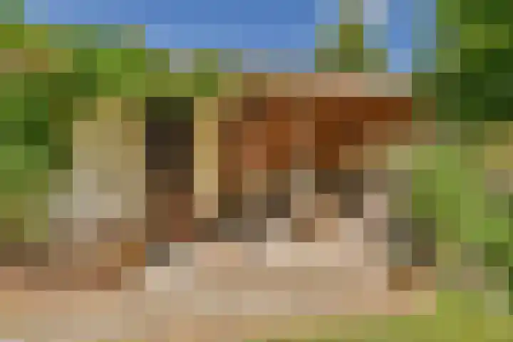 Harpstraat 23 Zaandijk thumbnail 21