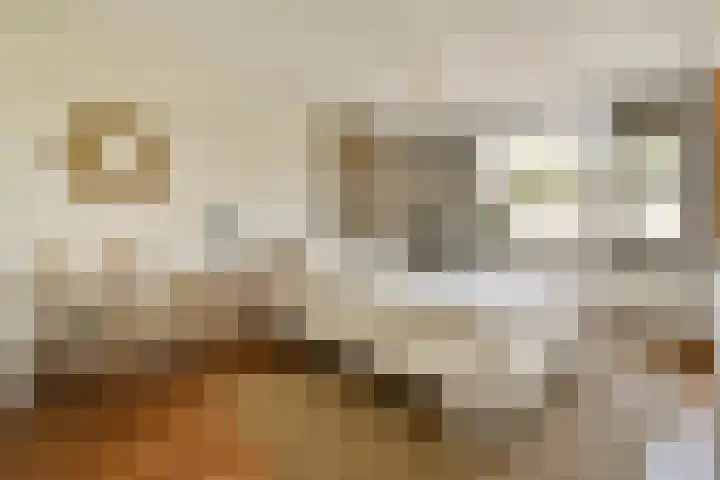 Harpstraat 23 Zaandijk thumbnail 23