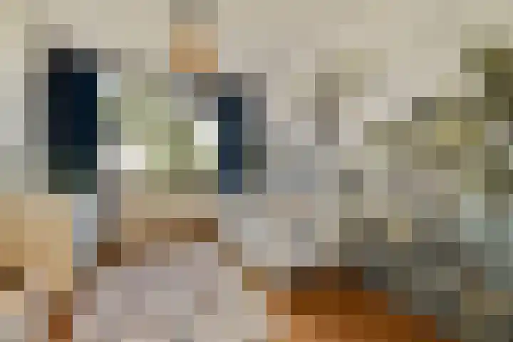 Harpstraat 23 Zaandijk thumbnail 26