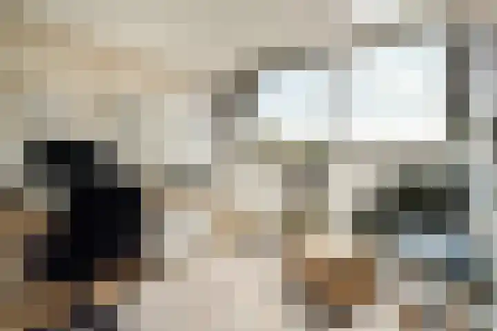Harpstraat 23 Zaandijk thumbnail 29