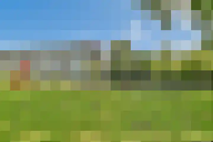 Harpstraat 23 Zaandijk thumbnail 30