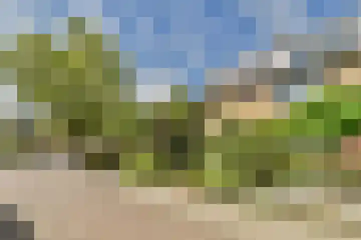 Harpstraat 23 Zaandijk thumbnail 31