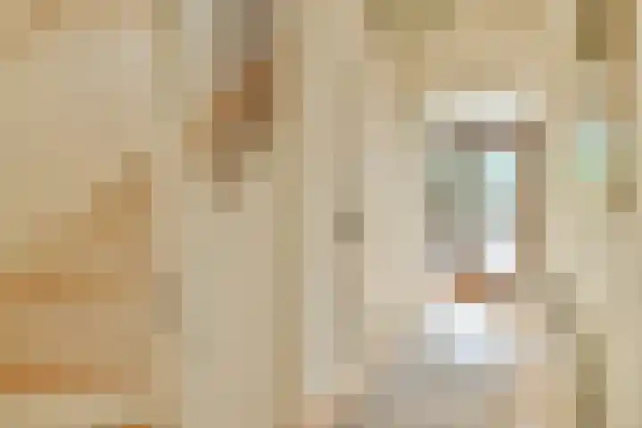Harpstraat 23 Zaandijk thumbnail 6