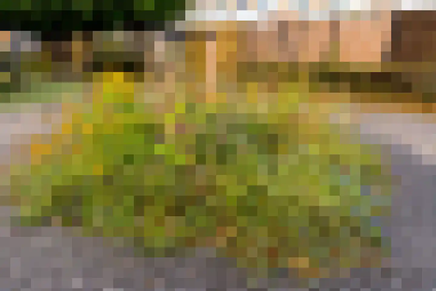 Harpstraat 30 Almere thumbnail 51
