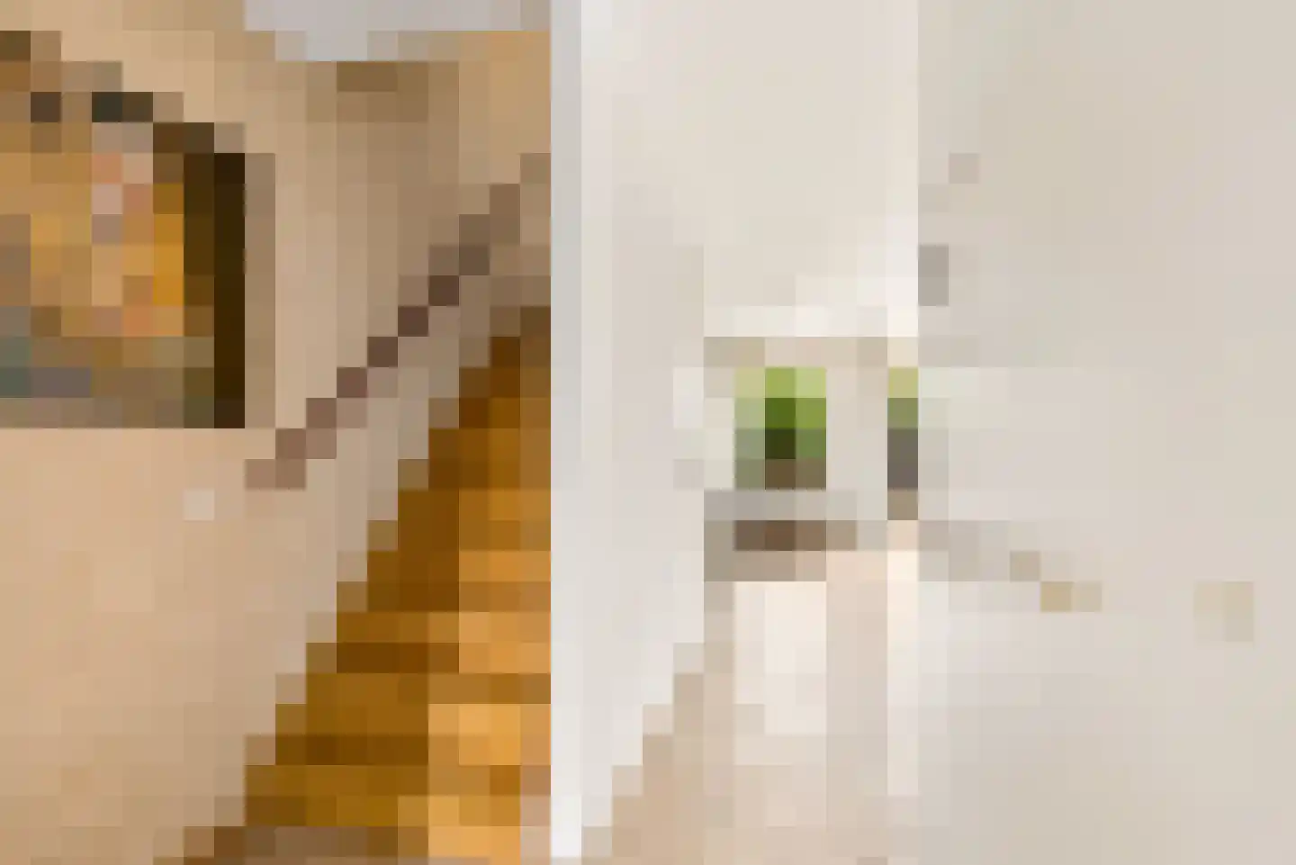 Harpstraat 30 Almere thumbnail 8