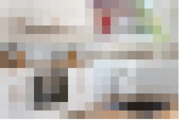 Harpstraat 49 Utrecht thumbnail 13
