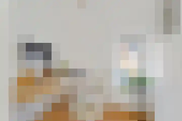 Harpstraat 49 Utrecht thumbnail 21