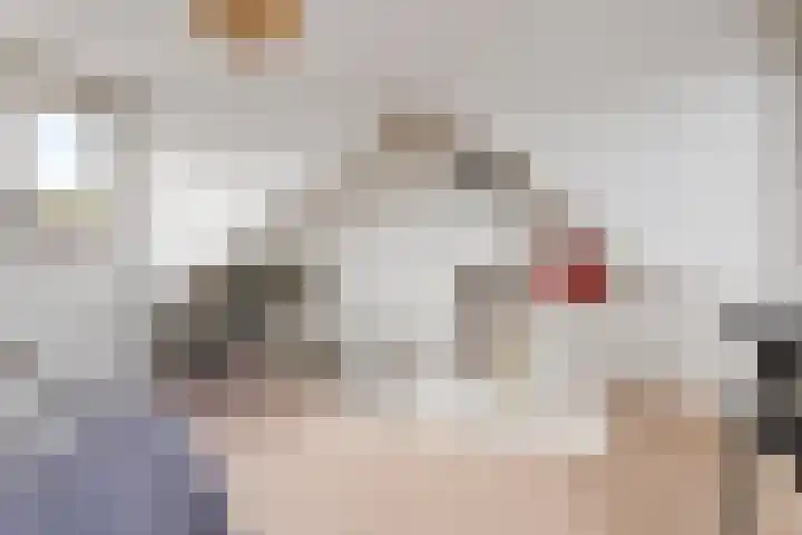 Harpstraat 49 Utrecht thumbnail 23