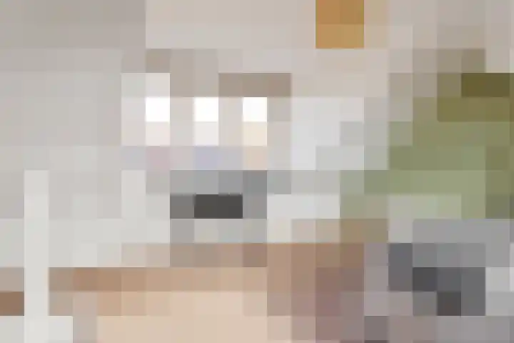 Harpstraat 49 Utrecht thumbnail 25