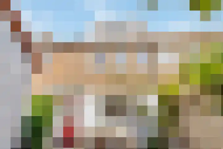 Harpstraat 49 Utrecht thumbnail 26