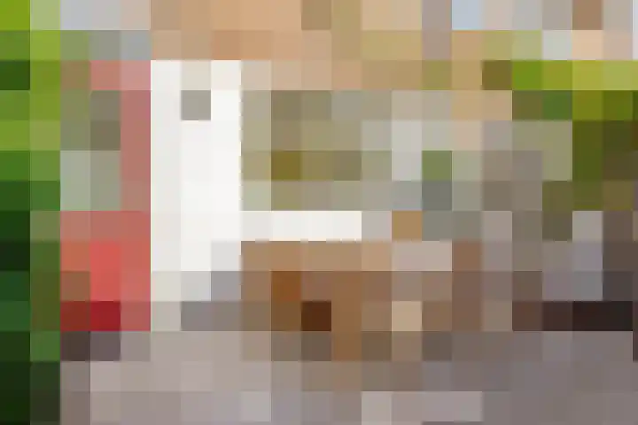 Harpstraat 49 Utrecht thumbnail 27