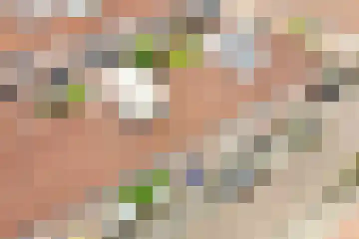Harpstraat 49 Utrecht thumbnail 32