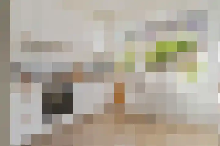 Harpstraat 49 Utrecht thumbnail 4