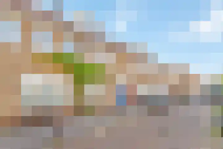 Harpstraat 49 Utrecht thumbnail 5