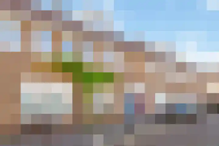 Harpstraat 49 Utrecht thumbnail 6