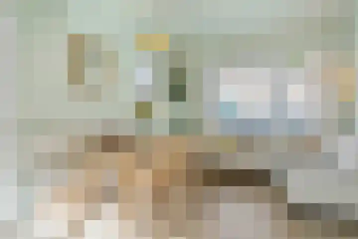 Harpstraat 49 Utrecht thumbnail 9