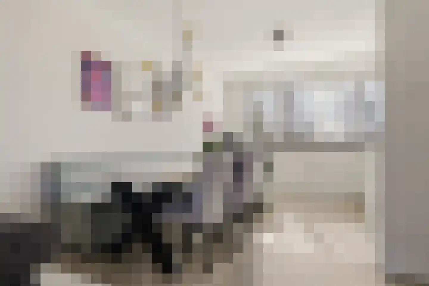 Harpstraat 49 Zaandijk thumbnail 10