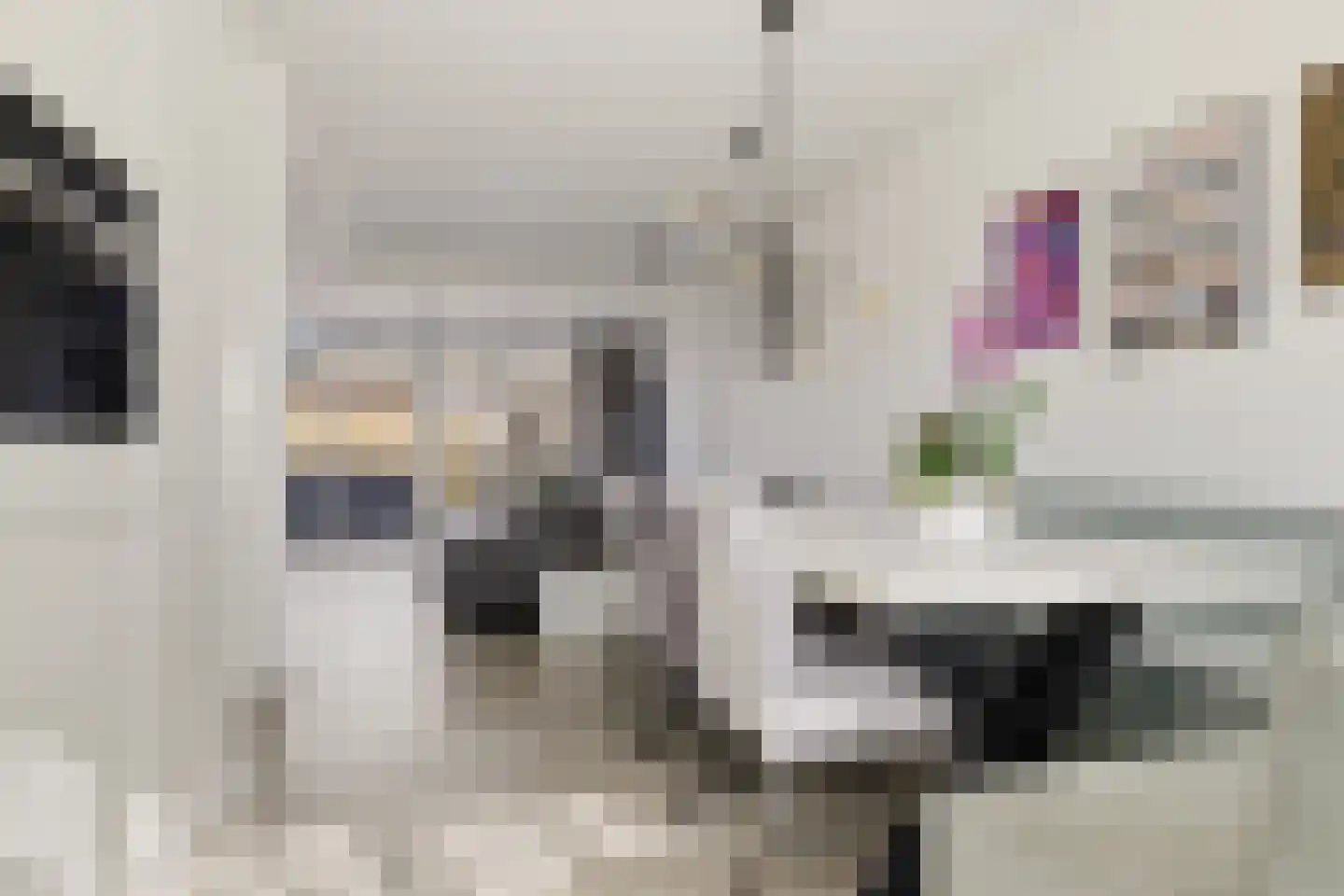 Harpstraat 49 Zaandijk thumbnail 11