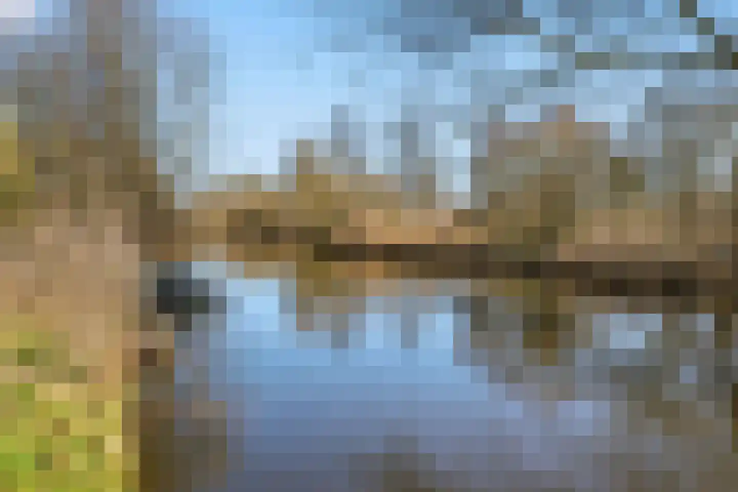 Harpstraat 49 Zaandijk thumbnail 34