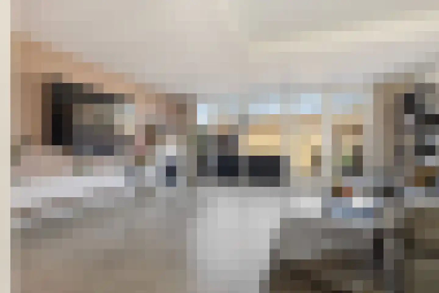 Harpstraat 49 Zaandijk thumbnail 6