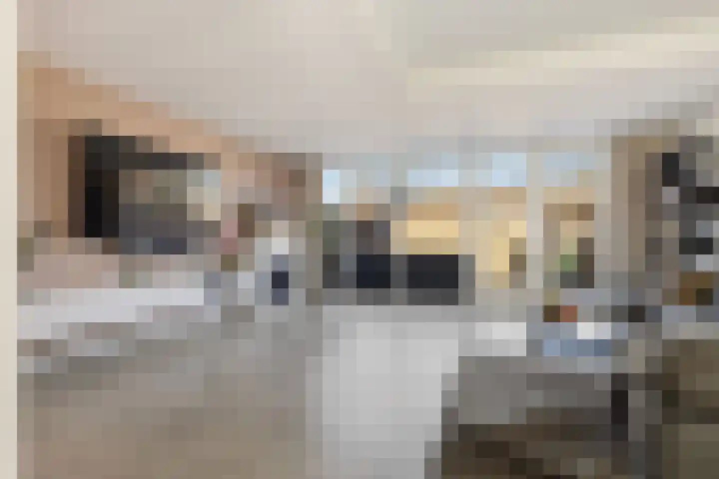 Harpstraat 49 Zaandijk thumbnail 7