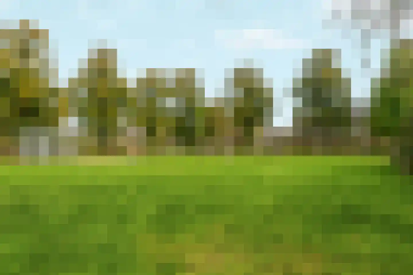 Harpstraat 54 Nijmegen thumbnail 34