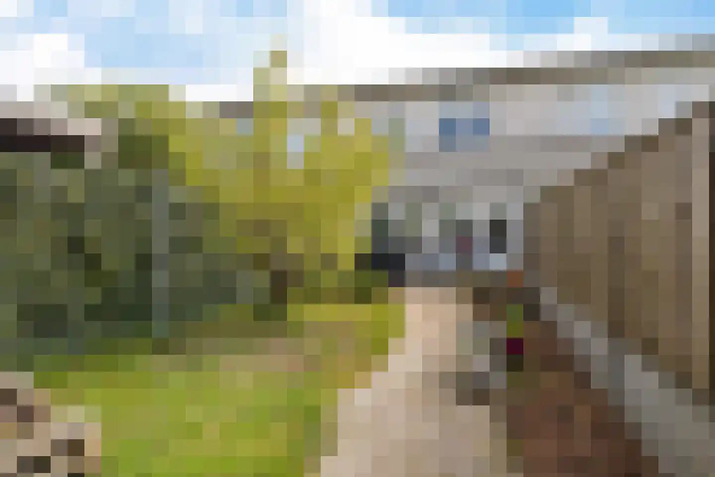 Harpstraat 76 Almere thumbnail 34