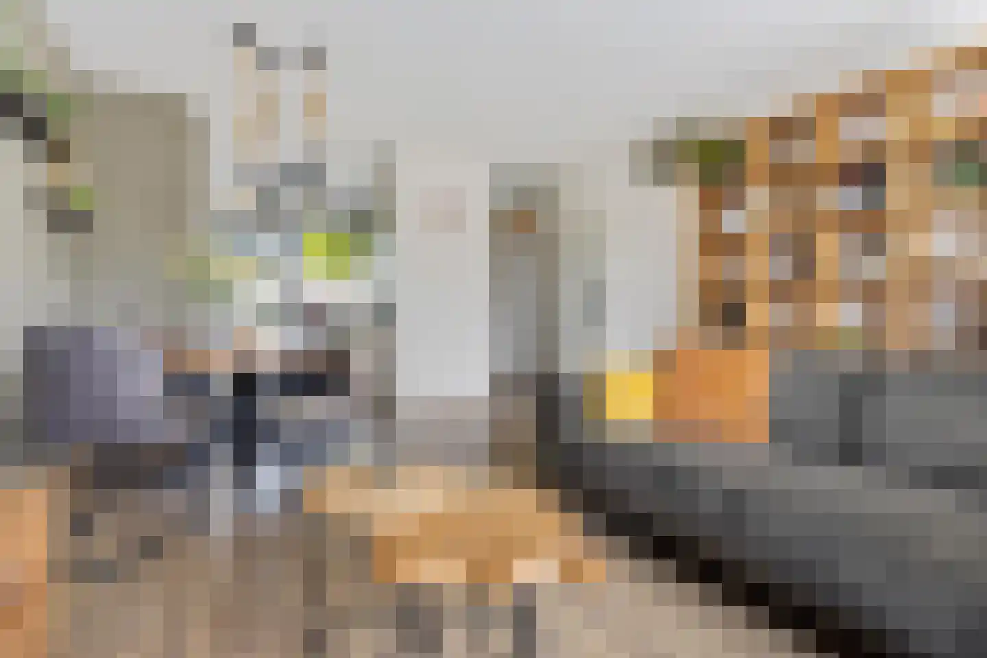 Harpstraat 95 Almere thumbnail 11