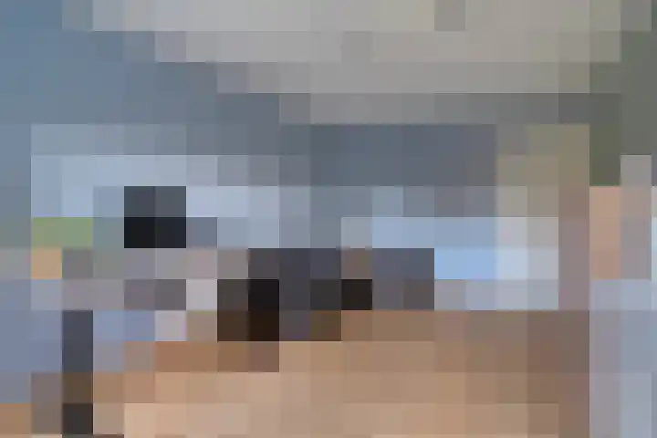 Harrebrink 16 Heino thumbnail 25