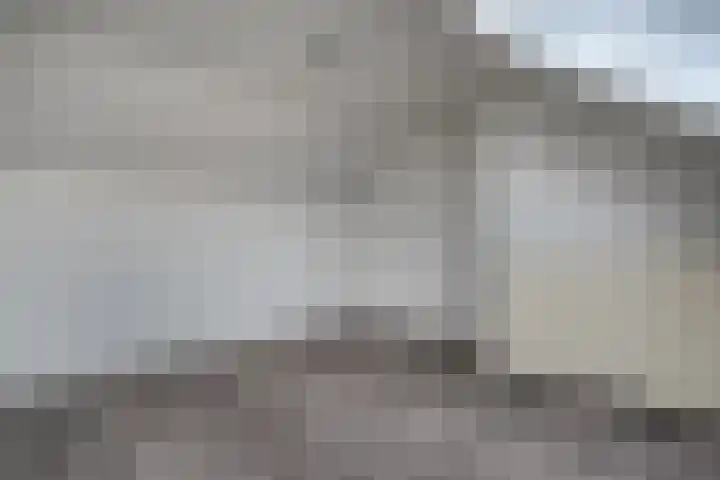 Harrebrink 16 Heino thumbnail 41