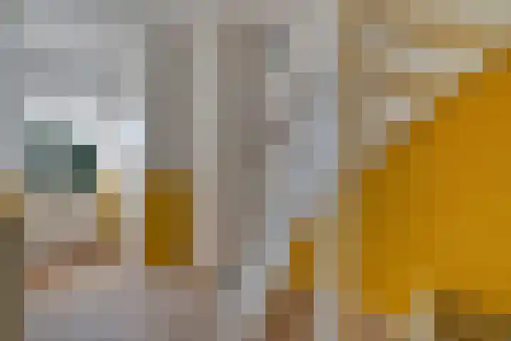 Harrebrink 16 Heino thumbnail 5