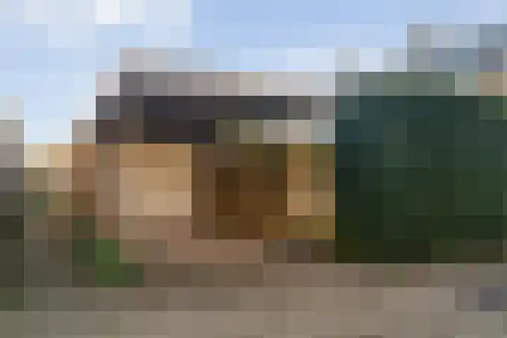 Harrebrink 16 Heino thumbnail 51