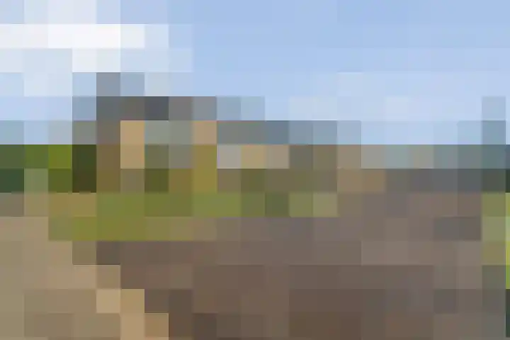 Harrebrink 16 Heino thumbnail 54