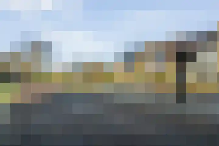 Harrebrink 16 Heino thumbnail 55