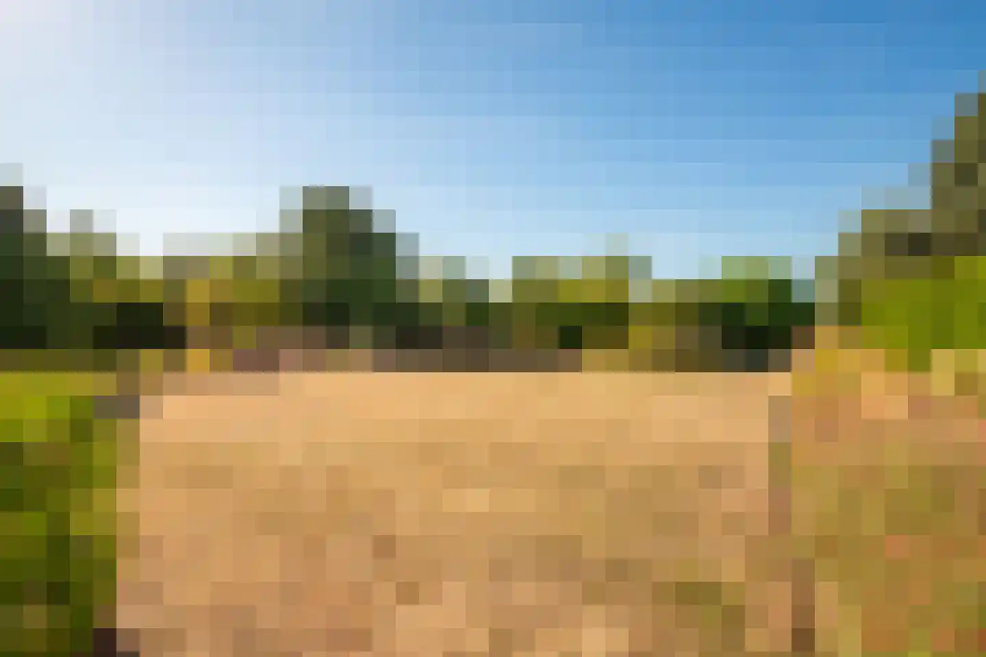 Harrecoven 17 Obbicht thumbnail 24