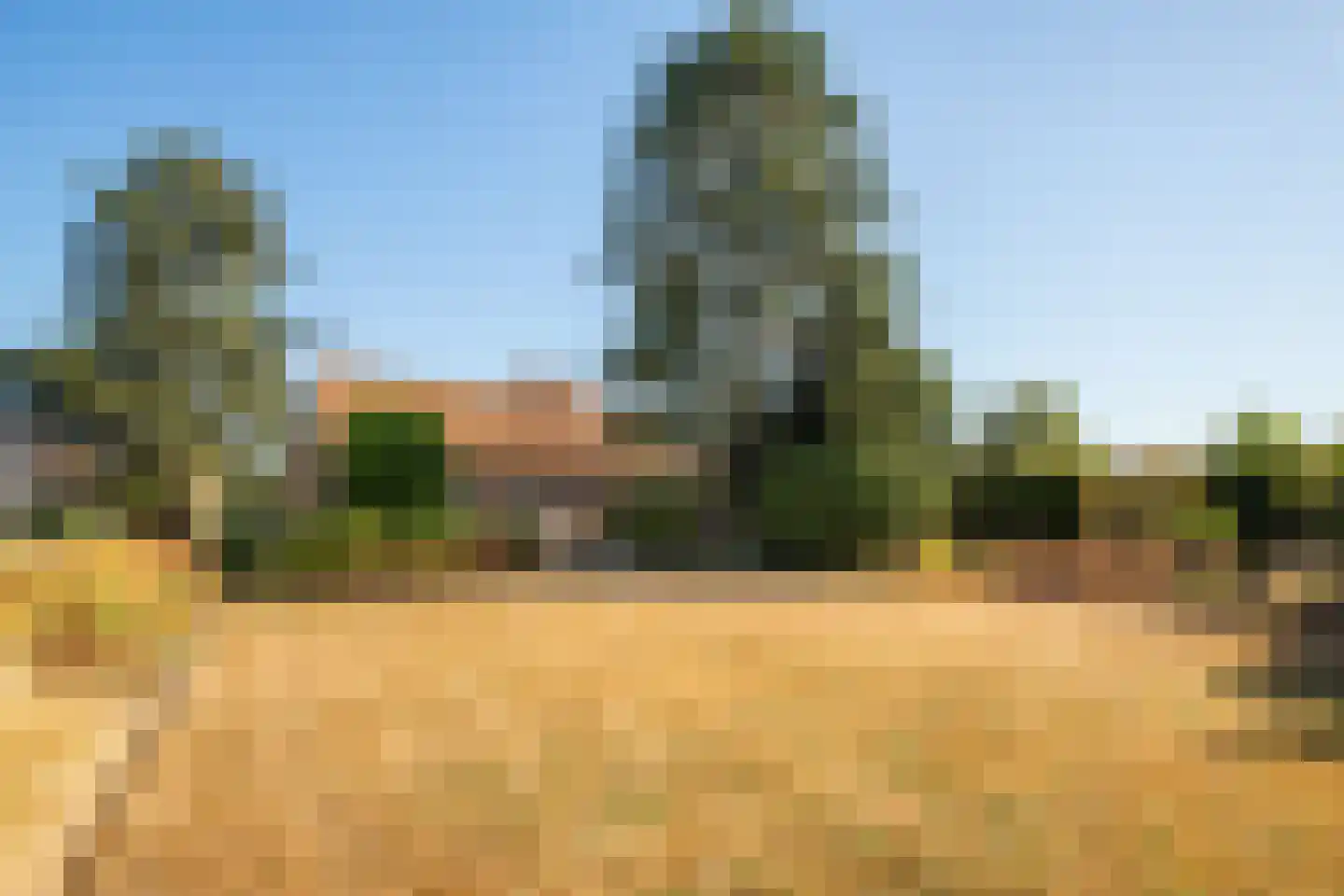 Harrecoven 17 Obbicht thumbnail 26