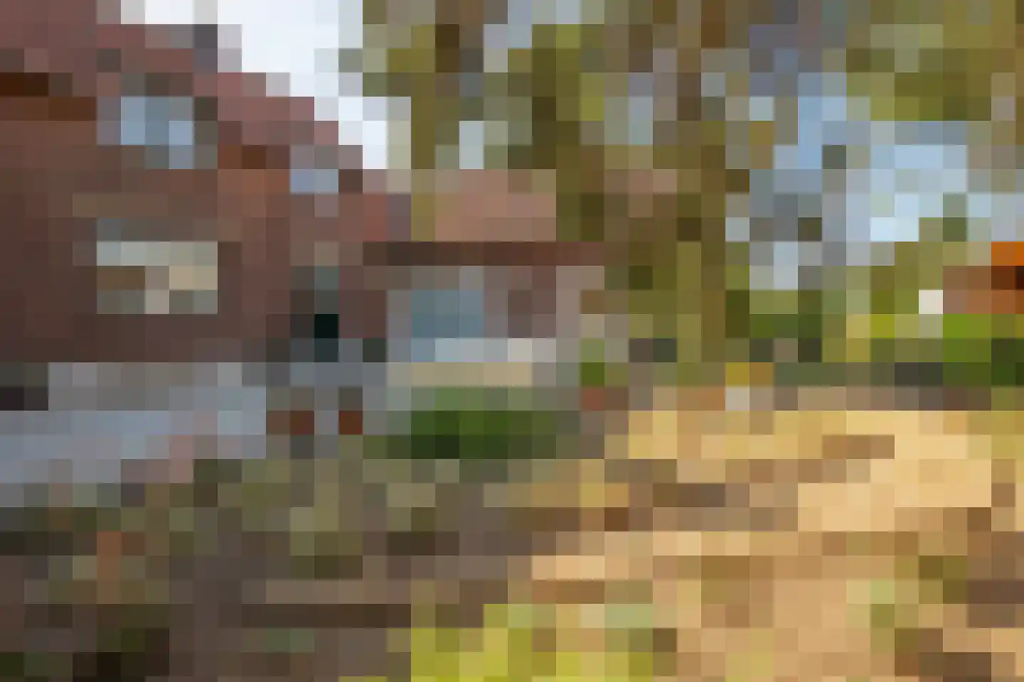Harrecoven 17 Obbicht thumbnail 4