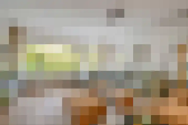Harrelaers 19 Heiloo thumbnail 12